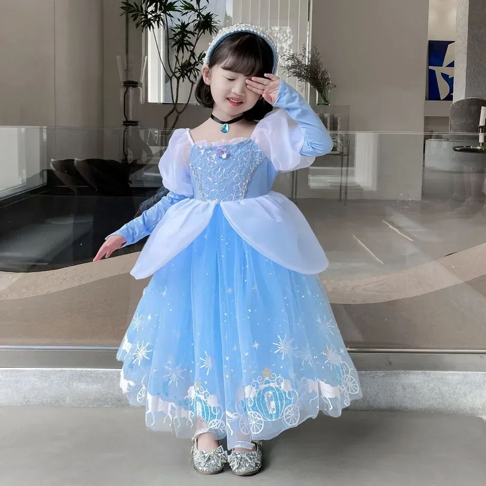 Cinderella Princess Cosplay Dr - огляд і ціна Summer Kids Clothing